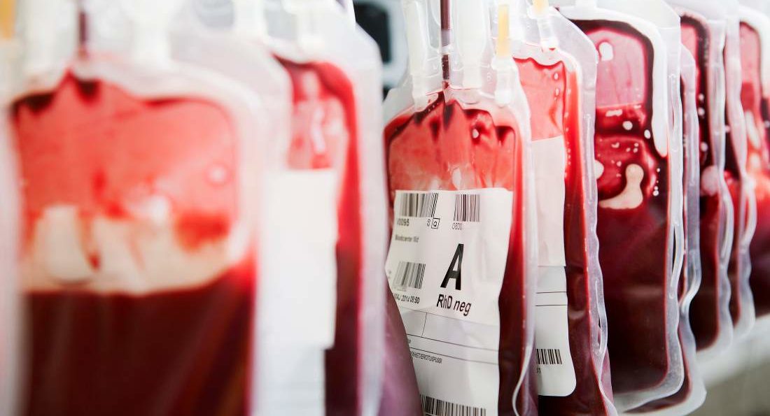 Argentina elimina proibição de doação de sangue contra homens que fazem sexo com homens