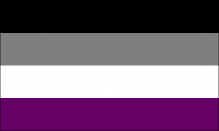 A bandeira do movimento assexual